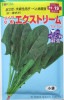 ダイヤ交配　エクストリーム　トキタ種苗のホウレンソウ品種