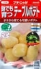 プチじゃが　鉢でも育つテーブルポテト　サカタのタネの種子