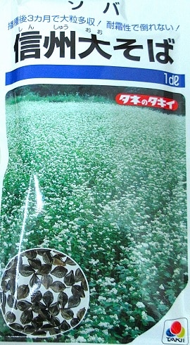 GREEN DEPO[ グリーンデポ ]