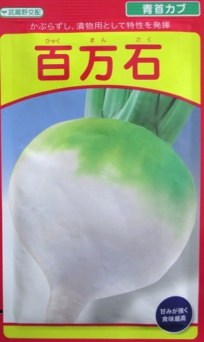 GREEN DEPO[ グリーンデポ ]