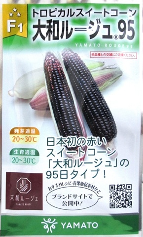 かねなな　大和ルージュ5キロ 大和ルージュ95 大和農園のトロピカルスイートコーン品種 | GREEN