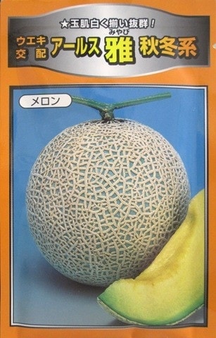 野菜種 果菜類,メロン,ネットメロン | GREEN DEPO[ グリーンデポ ]