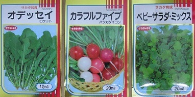 ほぼ周年で作れるサラダ向き野菜種セット サカタのタネの野菜種子