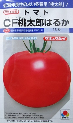 トマトガールタグ8p トマトガールタグ8p