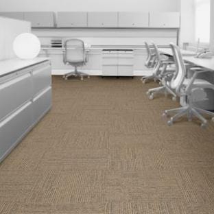 ࡿ륫ڥåȡ󥿡եPlatform cornsilk1474-003-000翥ʪ륳󡿡Ȣ20