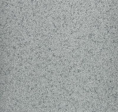 Ǵ����դ����ѥե���ࡿPAROI�ʥѥ����ˡ�PSP-187�����ƥå������󥷥��ƥࡿ��1m���������