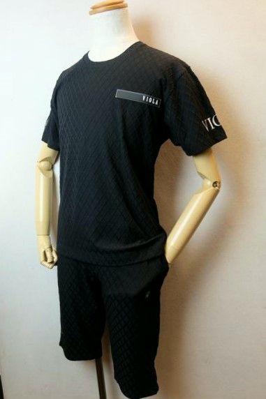ヴィオラ VIOLA 半袖Ｔシャツ ハーフパンツ 上下セット ブラック 春夏新作 ベア天竺 メンズウェア画像１