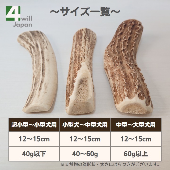 �̳�ƻ���������γ� Ķ�������������� 3��