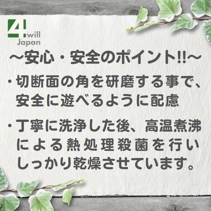 �̳�ƻ���������γ� Ķ�������������� 3��