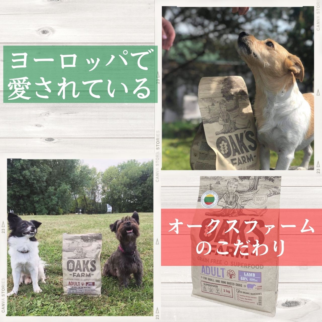 OAKS FARM  Ķγ 40g8 ʾ̣ 2025ǯ1231