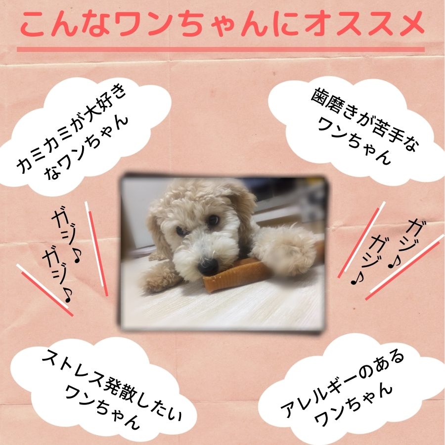 ҥޥϡɥʸѡM 50 3kg 11cm15cm