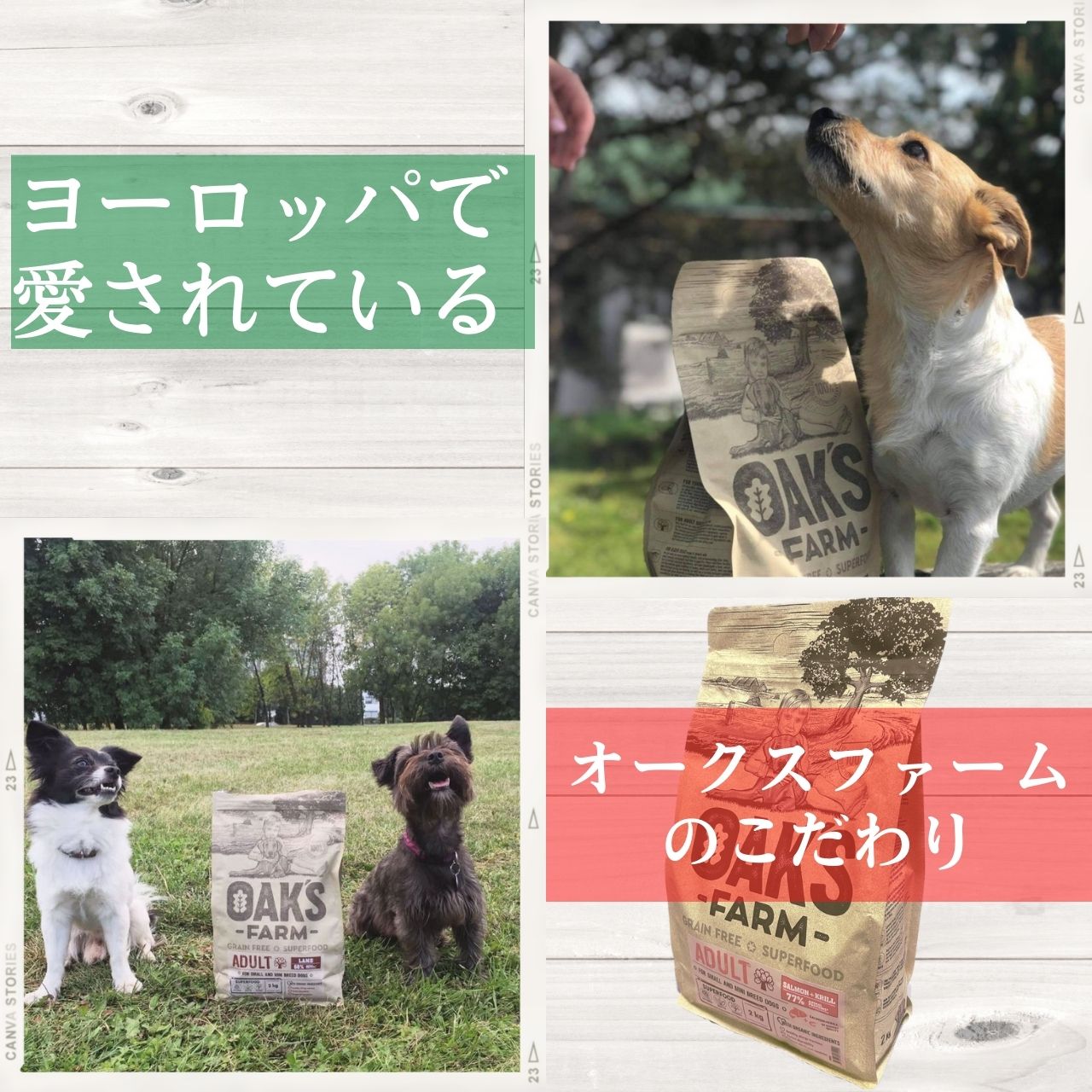 OAKS FARM   Ķγ 2kg6 ʾ̣ 2026ǯ630