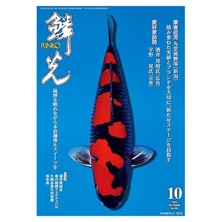 鱗光 月刊錦鯉 日鱗 52冊セット まとめ売り 錦鯉 鱗光 月刊錦鯉 日鱗 52冊セット まとめ売り 錦鯉 - メルカリ