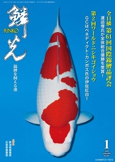 錦鯉エサ 錦鯉水槽 稚魚エサなど錦鯉飼育用品専門店コイモール
