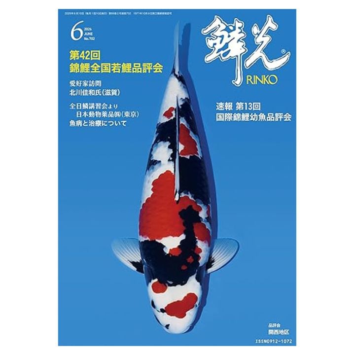 錦鯉月刊誌『鱗光』最新号6月号入荷！
