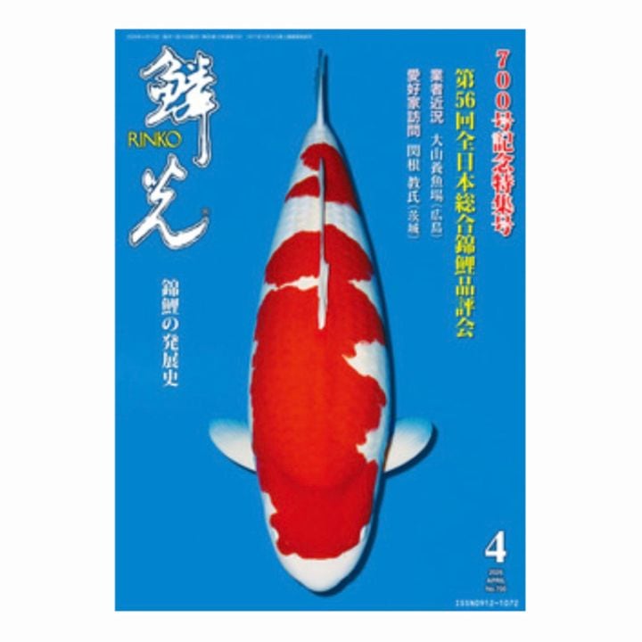 錦鯉月刊誌『鱗光』最新号4月号入荷！