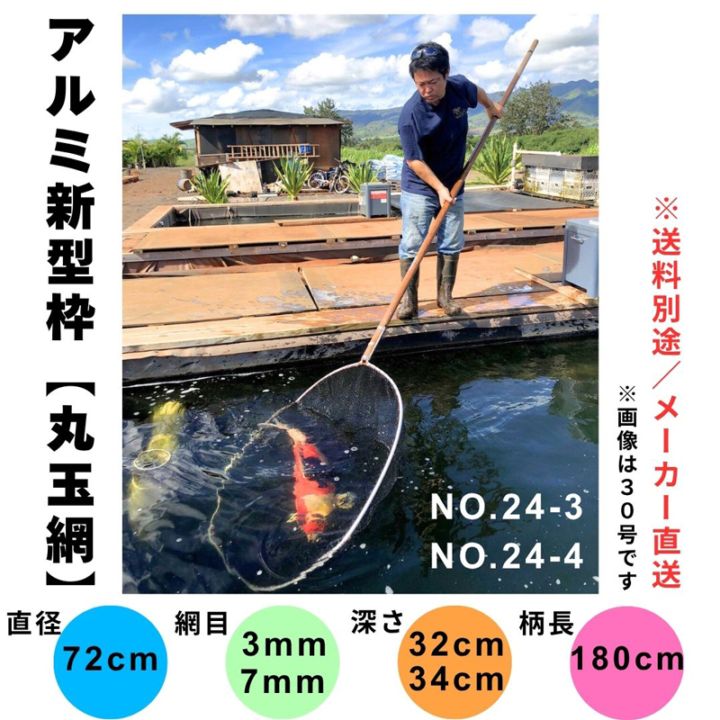 アルミ新型枠【錦鯉用扇型玉網】（直径54cm・柄長180cm） ｳ18-3／ｳ18-4