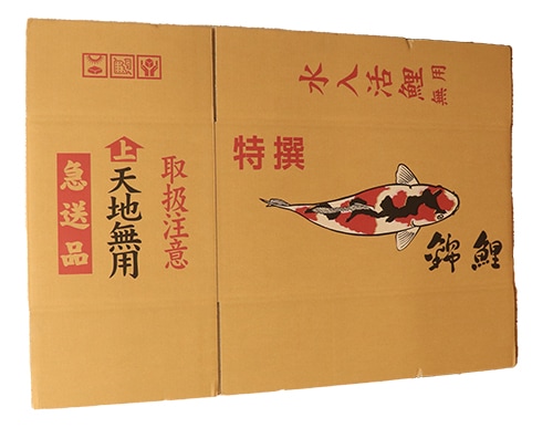 錦鯉の梱包資材 ダンボールNo.2（700×310×高320mm）【売切れ御免特価セール品】送料別