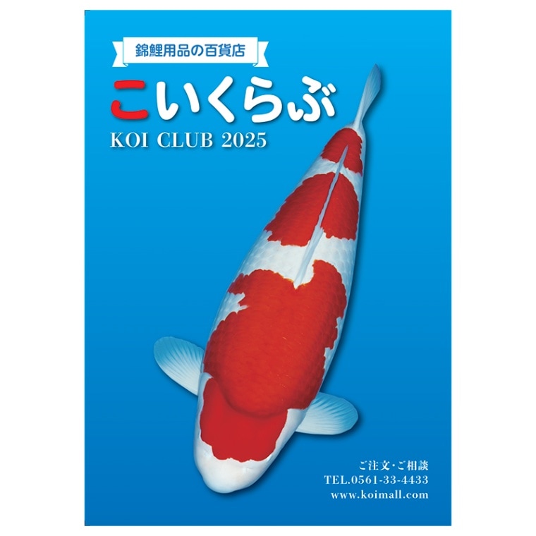 ※無料請求※　こいくらぶ