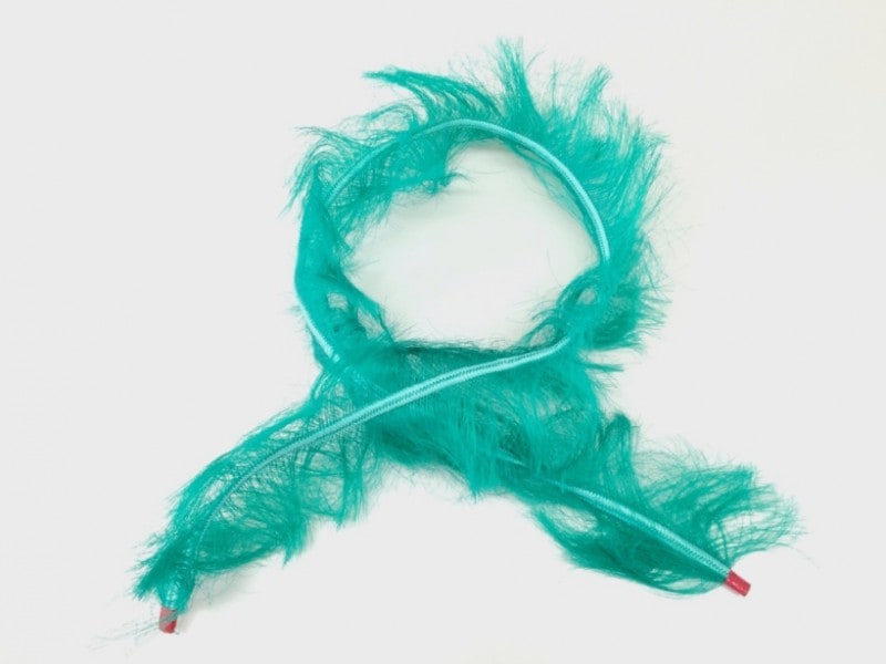 キンラン 長さ1.5m 葉長20cm