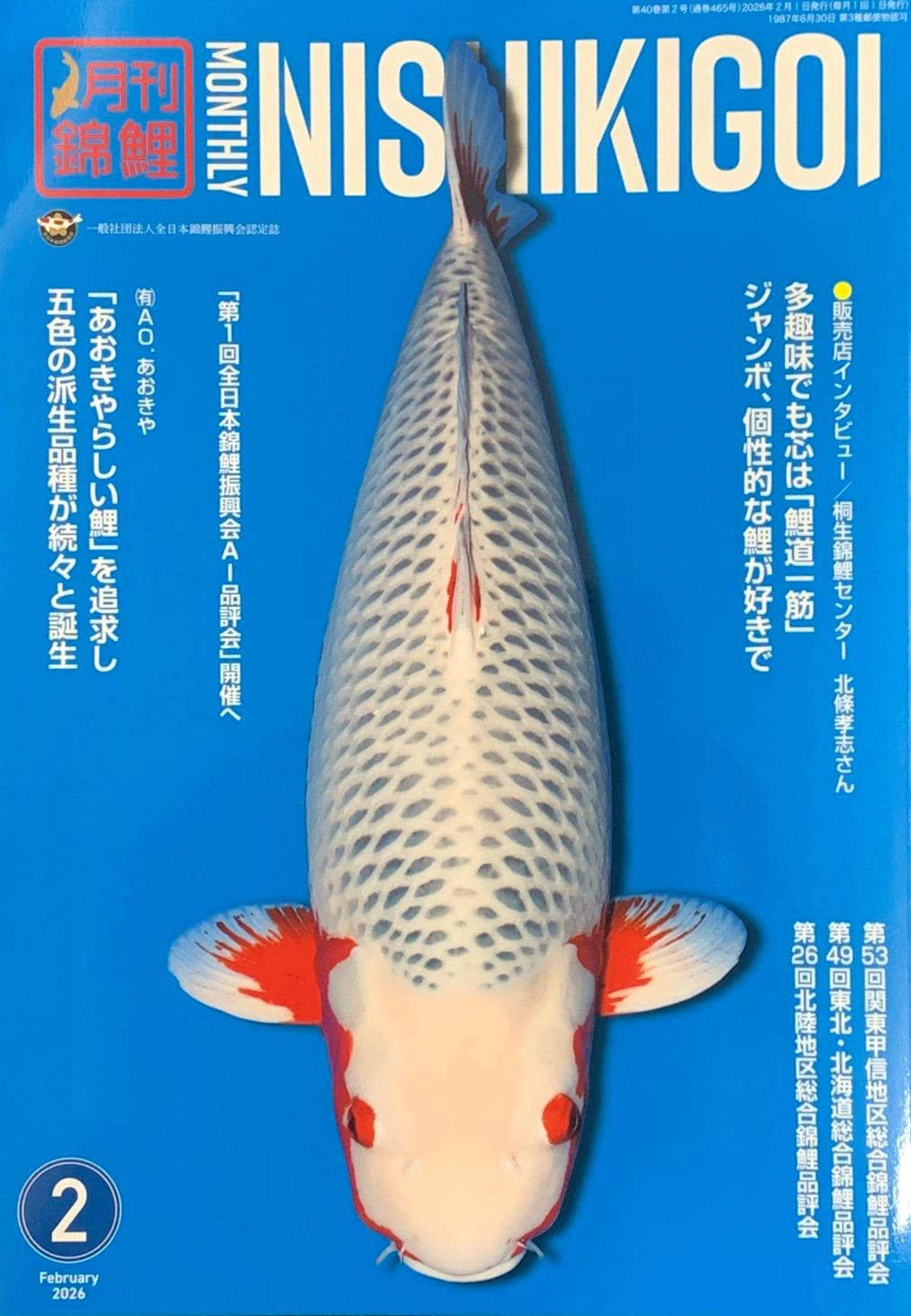 錦鯉エサ 錦鯉水槽 稚魚エサなど錦鯉飼育用品専門店コイモール