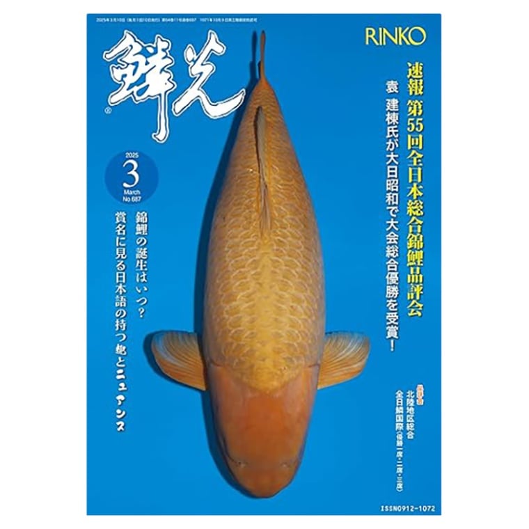 鱗光 月刊錦鯉 日鱗 52冊セット まとめ売り 錦鯉 - メルカリ