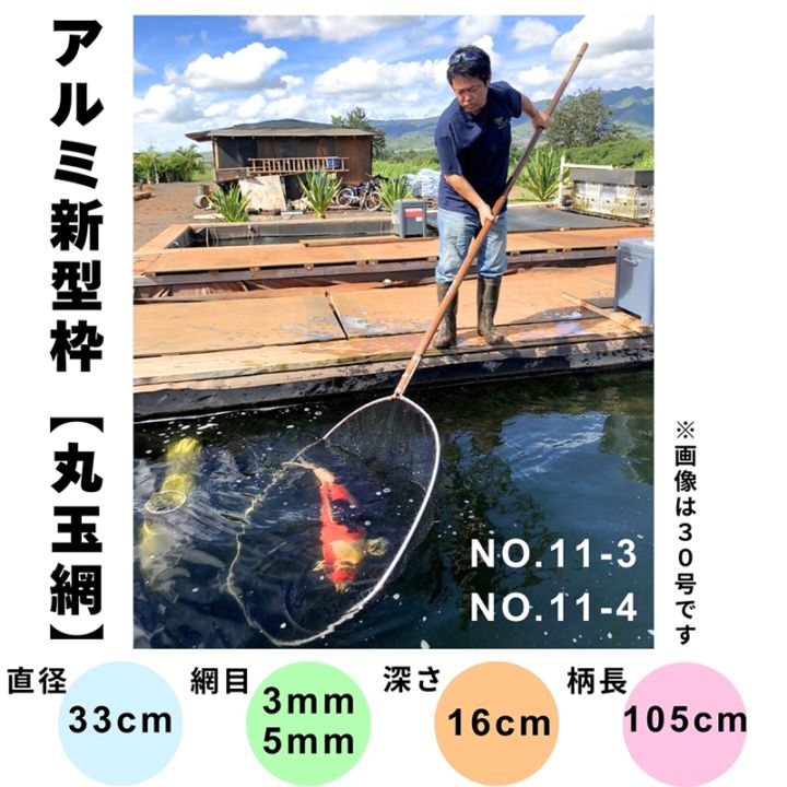 鯉釣り　巨鯉　ステンレスタモ枠　70cm 軽量 アルミ新型枠【錦鯉用扇型玉網】（直径54cm・柄長180cm） ｳ18-3／ｳ18-4