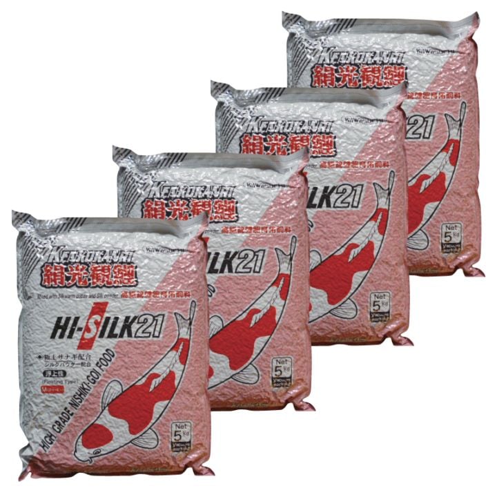 絹光観鯉 （浮上性）5kg x 4袋セット【期間限定特価】