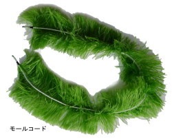 モールコード（産卵藻)沈下性 長さ1.5m 葉長20cm