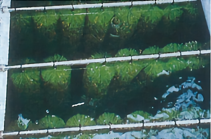 ロール濾材 400mm