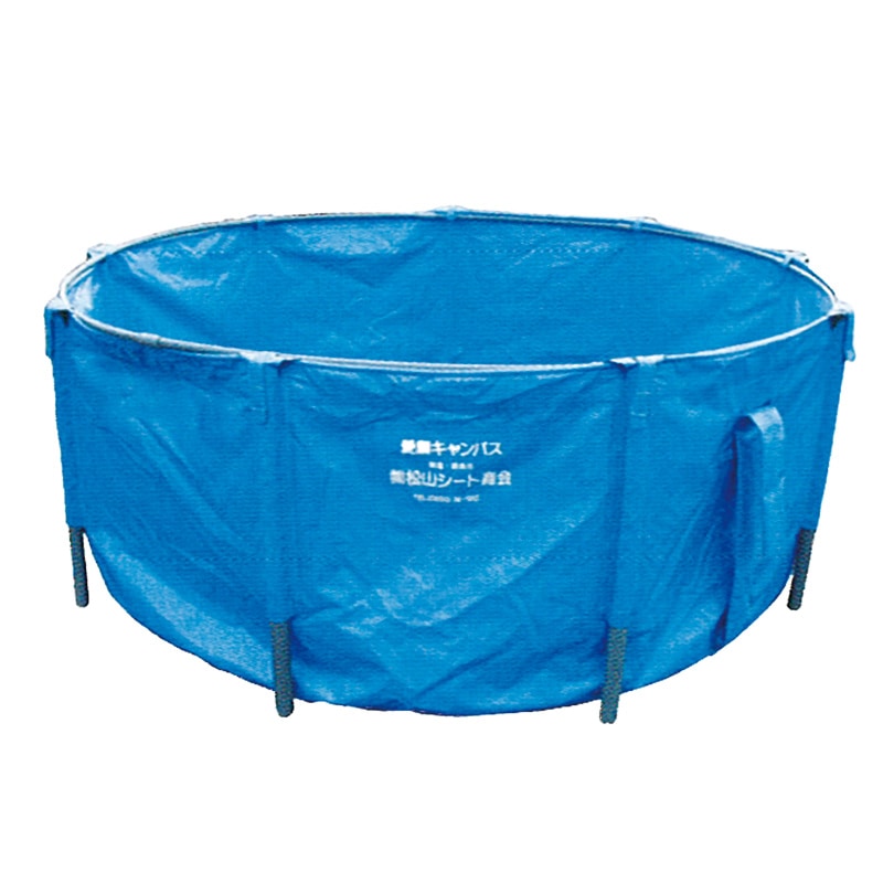 愛鱗キャンバス　（特価）