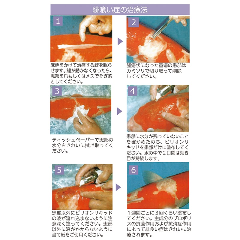 ビリオン・リキッド 30ml【緋喰い症治療】（特価）