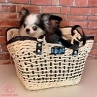 Otty キャリーカゴバッグ