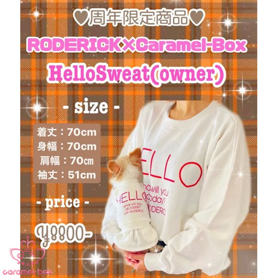 ��ǯ���꾦�� Caramel-Box��RODERICK �����item HELLO SWEAT(owner)