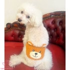 circus circus Look like Toy Bear ޥʡ٥