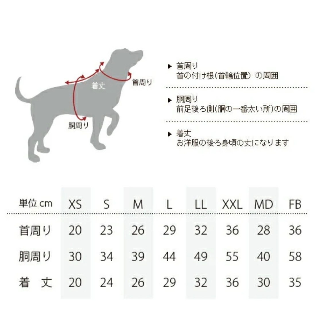 BEACHE HPLIC Ǥ١ȥ졼ʡ