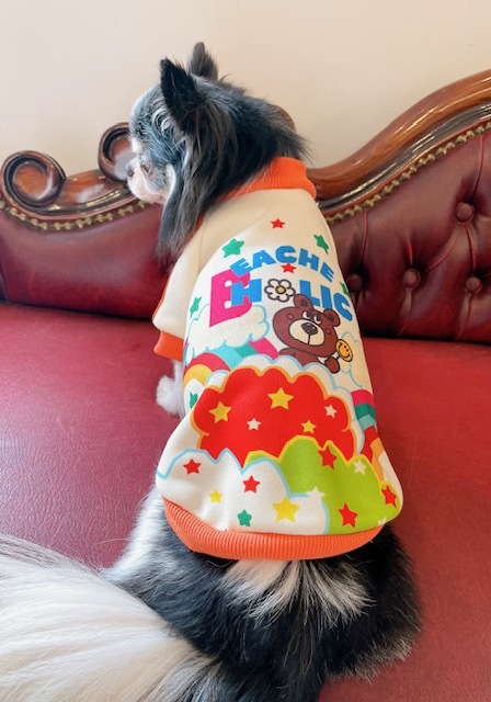 BEACHE HPLIC Ǥ١ȥ졼ʡ