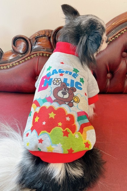 BEACHE HPLIC Ǥ١ȥ졼ʡ