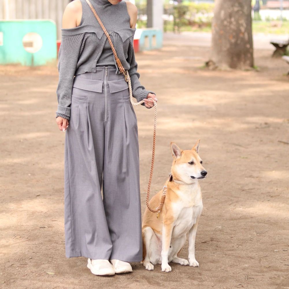 �����ץ꡼�ɡ�WAKABA��