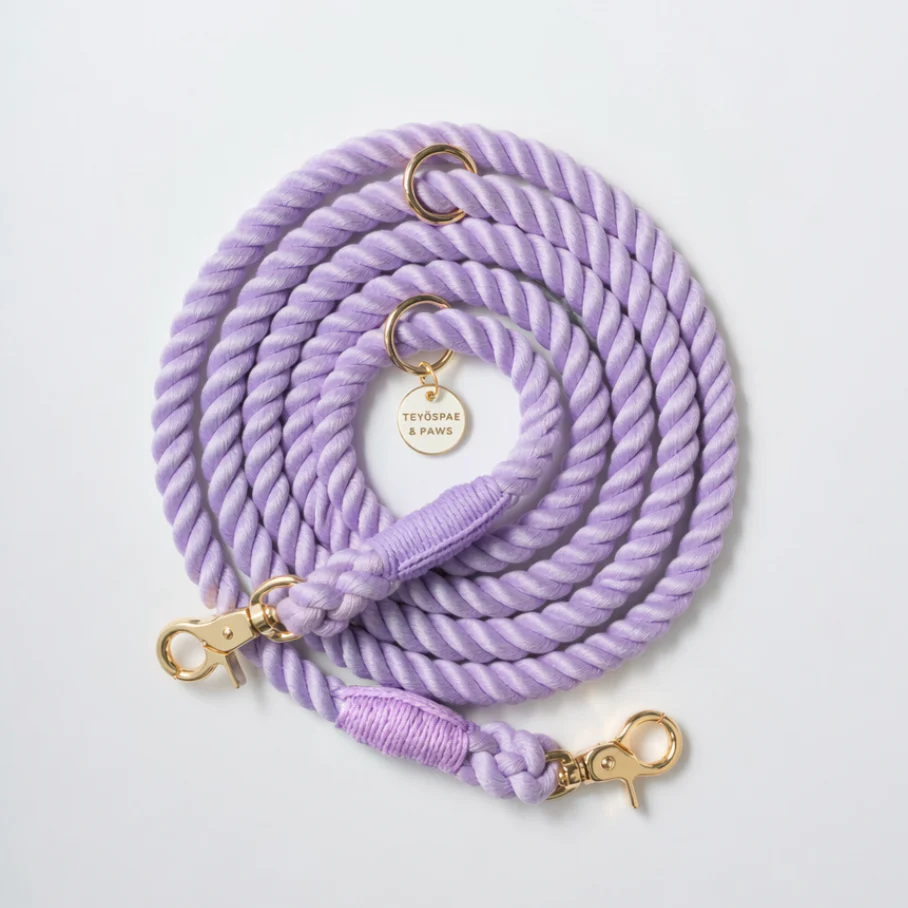 �����ץ꡼�ɡ�SUMIRE��