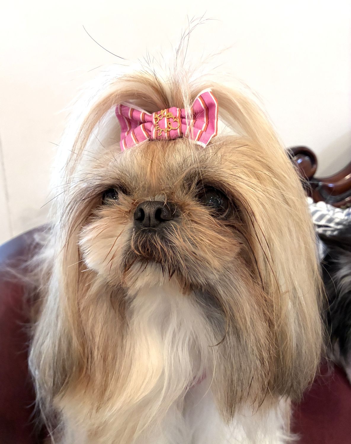 ��mimtto��Striped Bow  Hair Clip