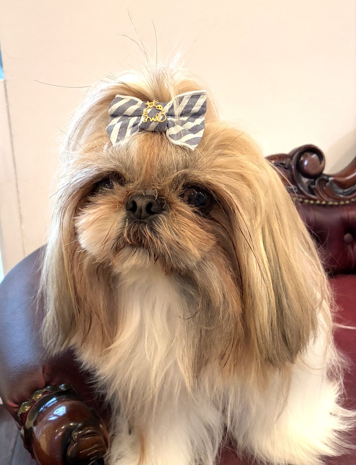 ��mimtto��Striped Bow  Hair Clip