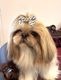 ��mimtto��Striped Bow  Hair Clip