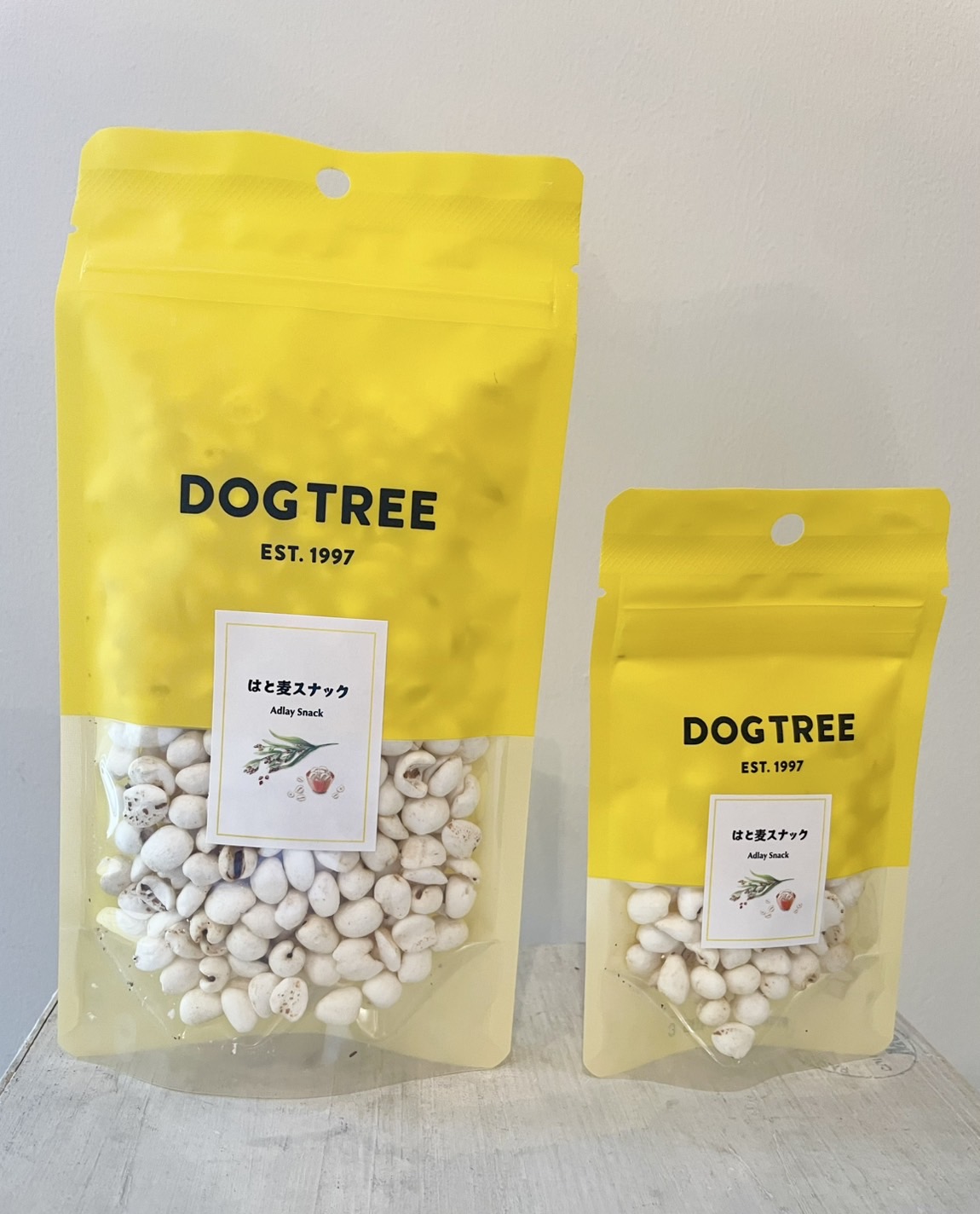 ��DOG��TREE�ۥϥ������ʥå�