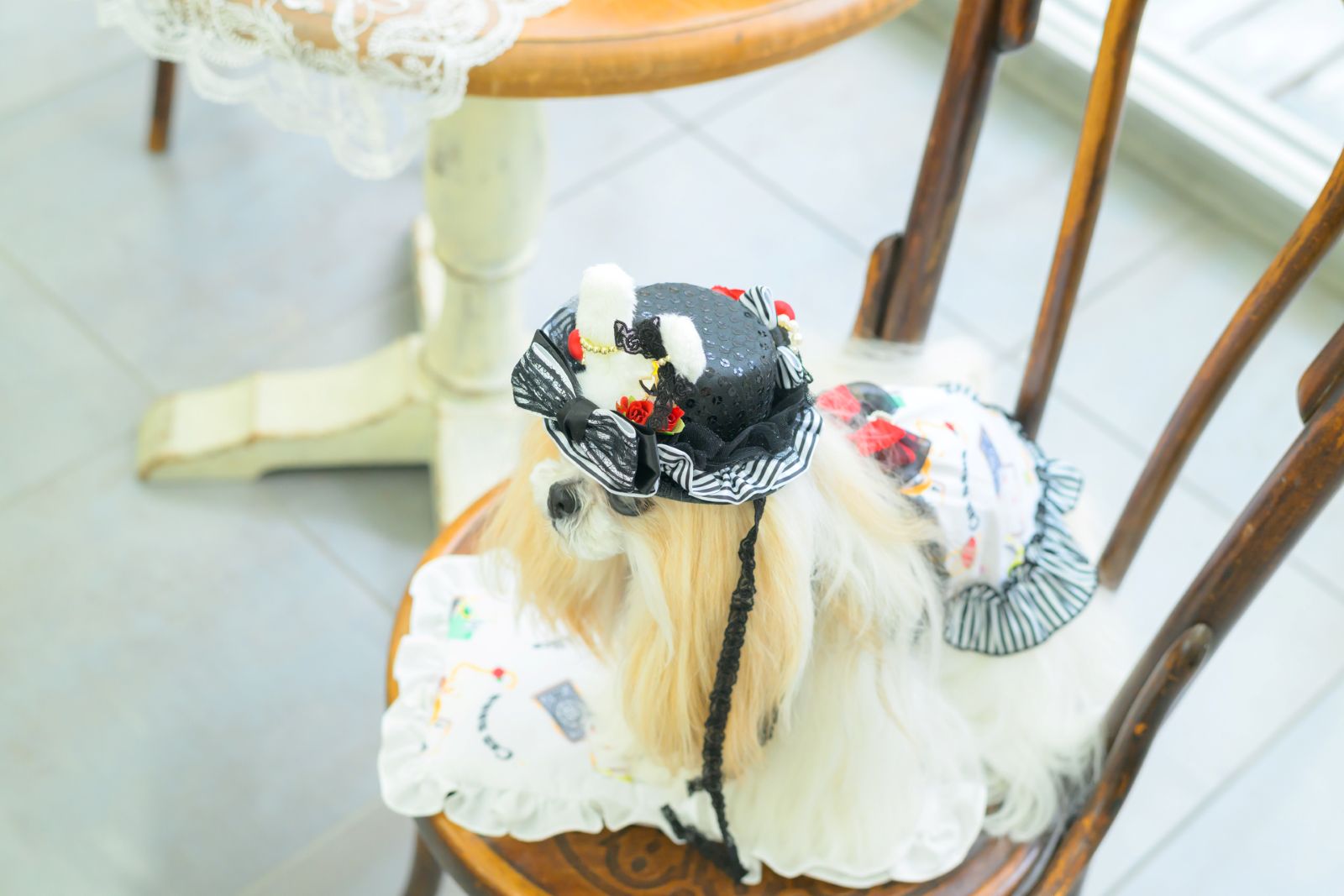 ♡♡CanNana♡♡��LH-014�����ꥹ�������֥�å��ϥå�