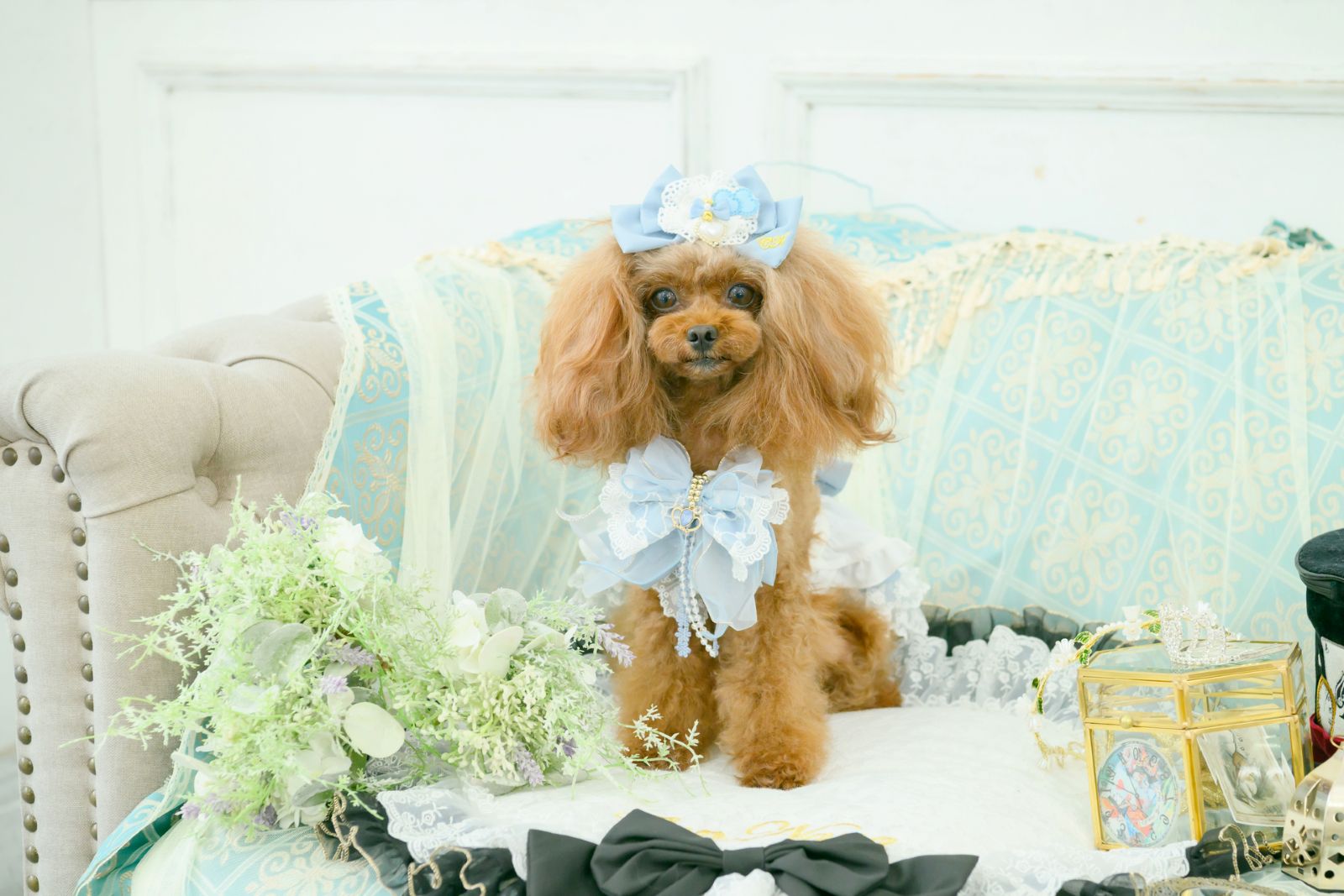 💛💛CanNana💛💛��LB-311�����ꥹ�ϡ��ȥӥ��塼�Х�å�