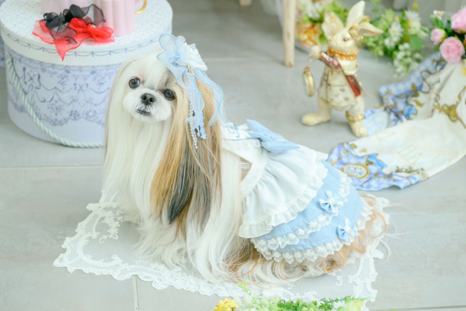 ♡♡CanNana♡♡��LB-313���������󥸡��ե�륢�ꥹ�Х�å�