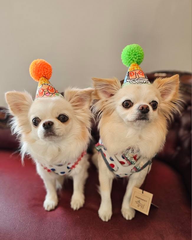 THE BESSPOMPOMHATBirthday