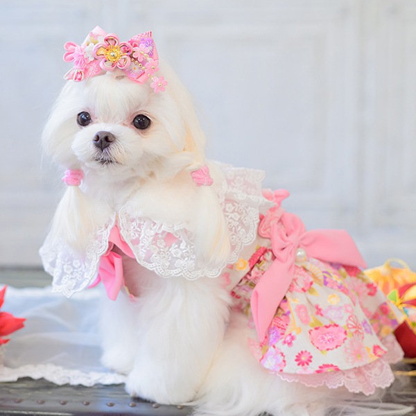 &#9825;&#9825;CanNana&#9825;&#9825;¥ĤޤߺٹХåܥ