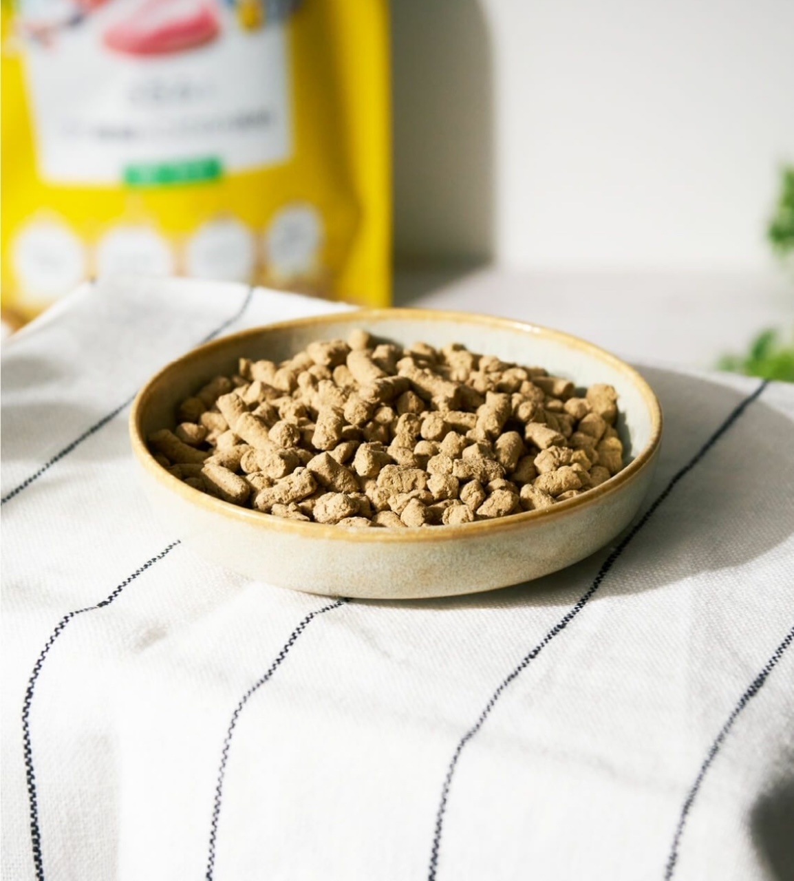 DOG TREE�������ߤ�25����Τ�������ࡡ600��